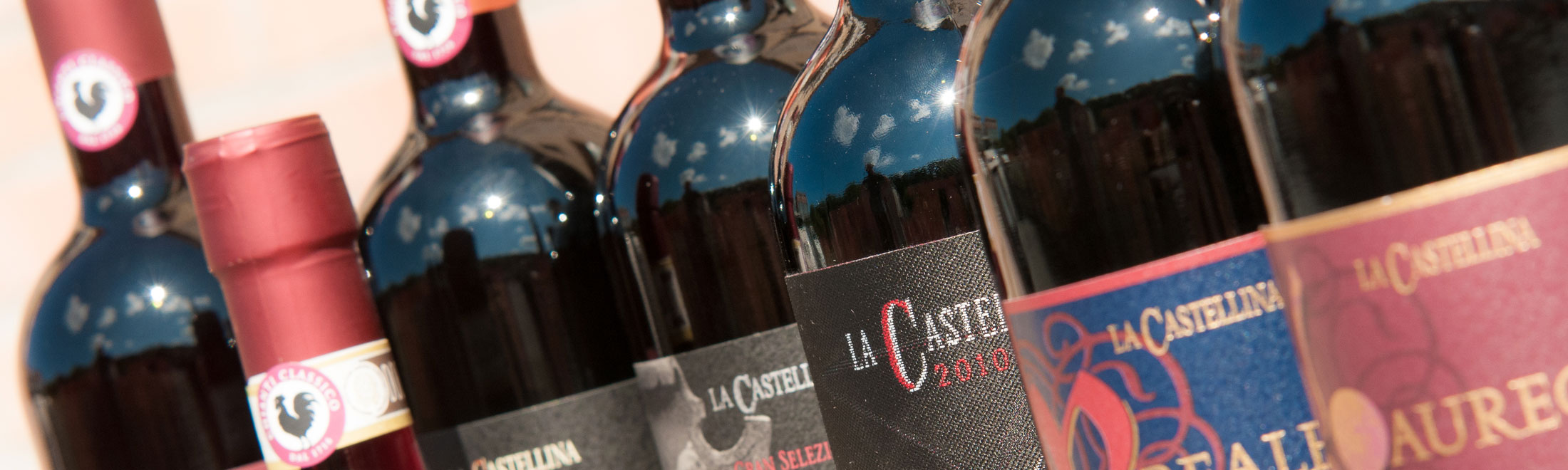 Fattoria La Castellina